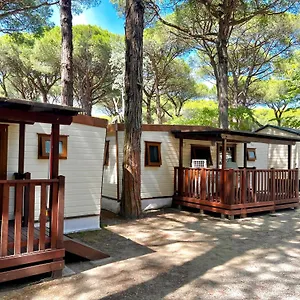 buona-mobile-homes.emilia-romagnahotels.net/